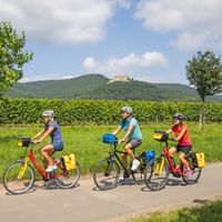 Radfahrgruppe auf einem Radweg mit Ausblick auf Schloss Hambach