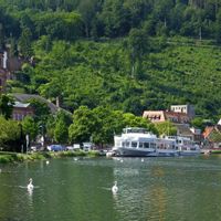 View of the town and the castle of Miltenberg situated on the River Main
