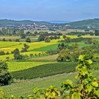 Das fruchtbare Markgräflerland bei Freiburg von oben