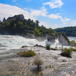 View of the Rhine Falls rock