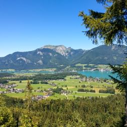 Wolfgangsee Panoramablick