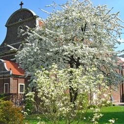 Typisches Haus im Münsterland