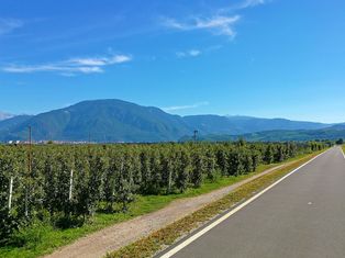 Adige cycle path near Bolzano with orchard