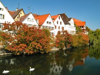 Riedlingen