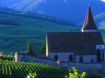 Blick auf eine Kirche in den Weinbergen bei Hunawihr
