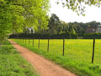 Münsterland Pättkes