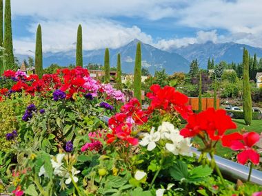 Flowers at Trautmannsdorf Castle