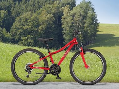 Eurobike children's rental bike 24" Eurobike children's rental bike 24"