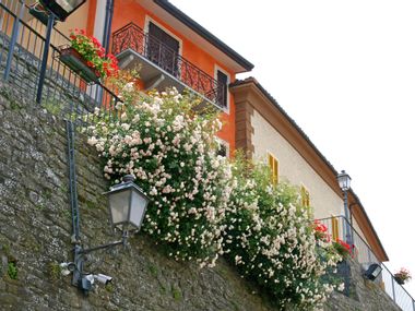 Blumenmauer in Millesimo