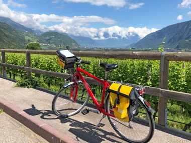 Fahrrad vor Bozens Weinreben Fahrrad vor Bozens Weinreben