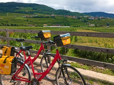 On the way to Trento along the Adige cycle path On the way to Trento along the Adige cycle path