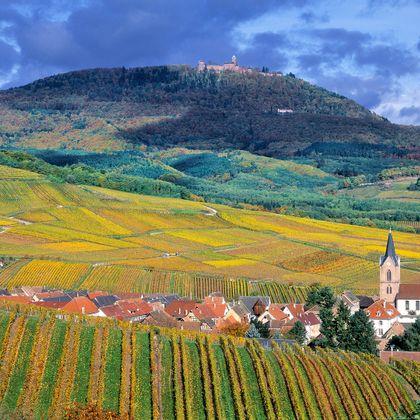 Der inmitten von Weinbergen gelegene kleine Ort Rodern mit der auf einem bewaldeten Hügel liegenden Hohkönigsburg
