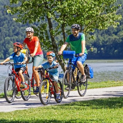 A family cycle tour near Schlögen on the Danube