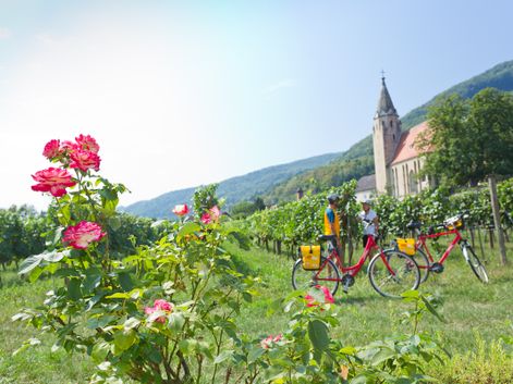 Cyclists enjoying their break between the wachau vineyards