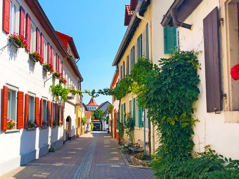 Malerische Gasse durch einen Weinort