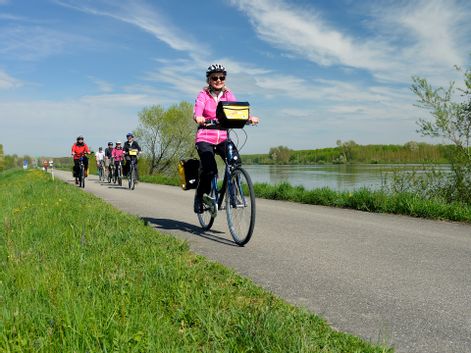 Cycling group on the Danube cycle path