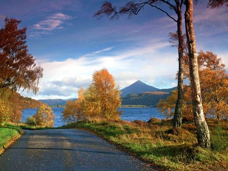 Herbstlandschaft mit einem See im Hintergrund von farbenfrohen Bäumen