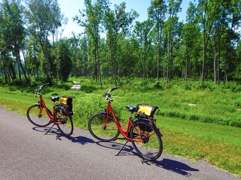 Cycle path along the Danube