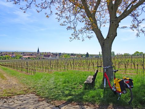 Kurze Pause bei der Radtour entlang der Deutschen Weinstraße
